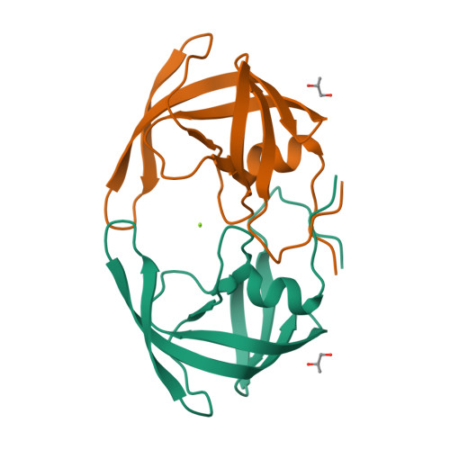 RCSB PDB - 2PC0: Apo Wild-type HIV Protease in the open conformation