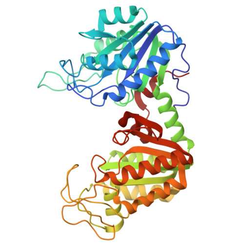 RCSB PDB - 2PGK: THE USE OF PHASE COMBINATION IN THE REFINEMENT OF ...