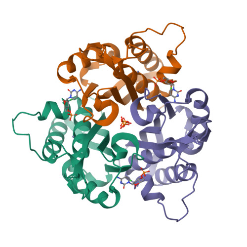 2-C-methyl-D-erythritol 2,4-cyclodiphosphate synthase, chloroplastic structure