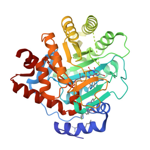 RCSB PDB - 2PRH: The structures of apo- and inhibitor bound human  dihydroorotate dehydrogenase reveal conformational flexibility within the  inhibitor binding site