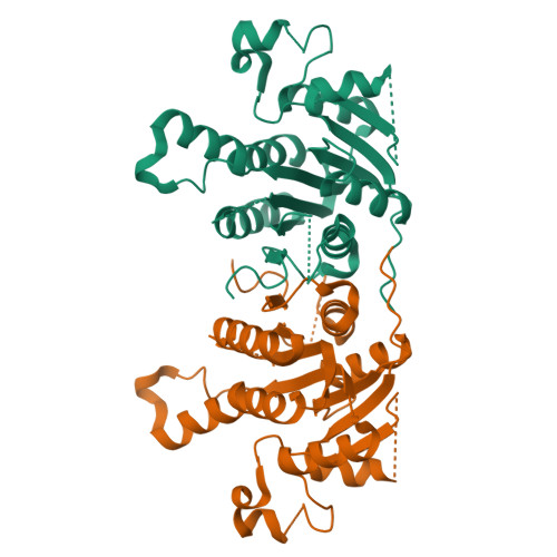 Rcsb Pdb 2ptg Crystal Structure Of Eimeria Tenella Enoyl Reductase 8725