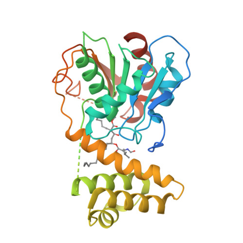 RCSB PDB - 2PX6: Crystal structure of the thioesterase domain of human ...