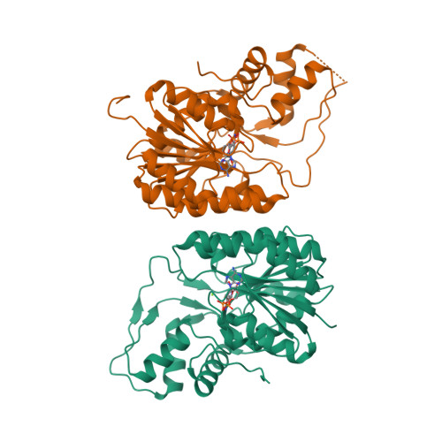 Rcsb Pdb Pzk Crystal Structure Of The Bordetella Bronchiseptica Enzyme Wbmg In Complex With Nad