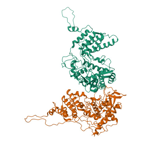 RCSB PDB - 2Q06: Crystal structure of Influenza A Virus H5N1 ...