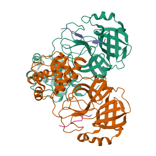 Rcsb Pdb 2q6g Crystal Structure Of Sars Cov Main Protease H41a Mutant In Complex With An N 5912