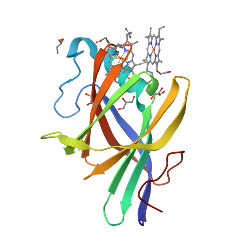 RCSB PDB - 2Q7A: Crystal structure of the cell surface heme