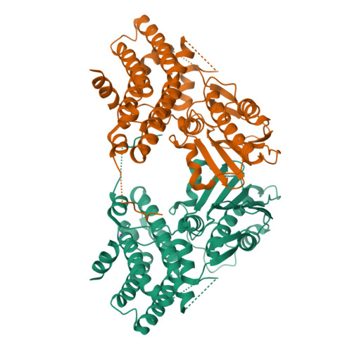 [Pyruvate dehydrogenase (acetyl-transferring)] kinase isozyme 1, mitochondrial structure