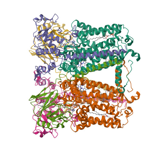 RCSB PDB - 2QJY: Crystal structure of rhodobacter sphaeroides double ...