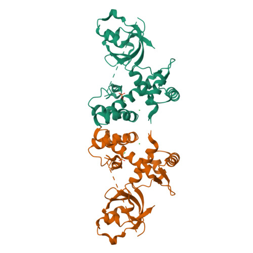 RCSB PDB - 2QQA: Crystal Structure of DtxR(E9A C102D) Complexed 