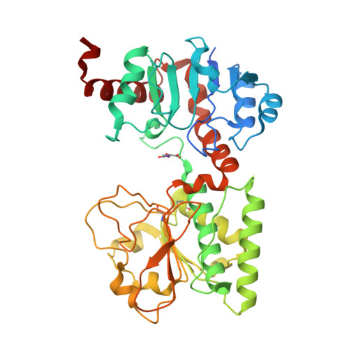 RCSB PDB - 2QRL: Crystal Structure of Oxalylglycine-bound Saccharopine ...