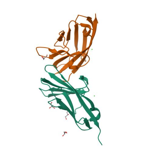 Rcsb Pdb Qsq Crystal Structure Of The N Terminal Domain Of Carcinoembryonic Antigen Cea