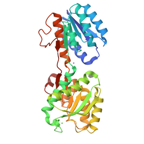 Rcsb Pdb - 2qw1: Glucose Galactose Binding Protein Bound To 3-o-methyl 