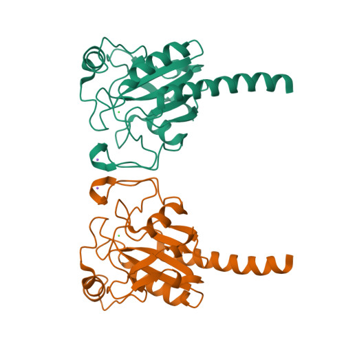 glutathione peroxidase structure