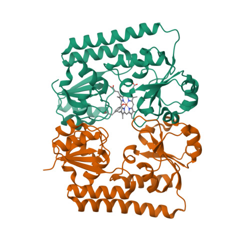 RCSB PDB - 2R7A: Crystal Structure of a Periplasmic Heme Binding ...