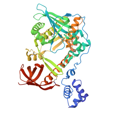 Crystal structure of the Deinococcus radiodurans single-stranded