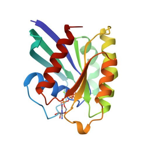 RCSB PDB - 2RAP: THE SMALL G PROTEIN RAP2A IN COMPLEX WITH GTP