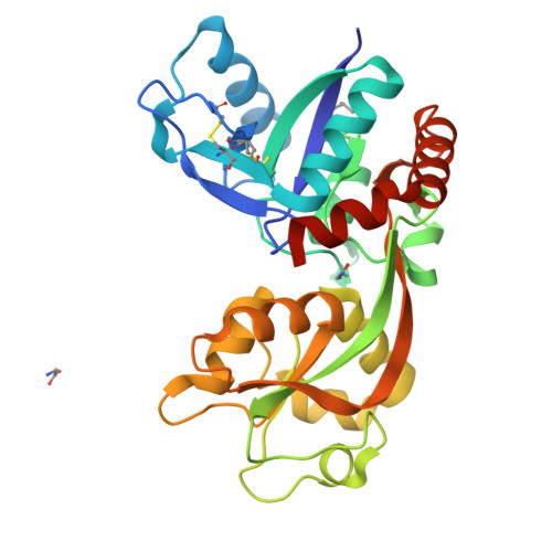 RCSB PDB - 2RCA: Crystal structure of the NR3B ligand binding core ...