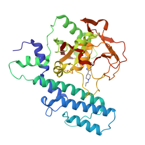 RCSB PDB - 2RCW: PARP complexed with A620223