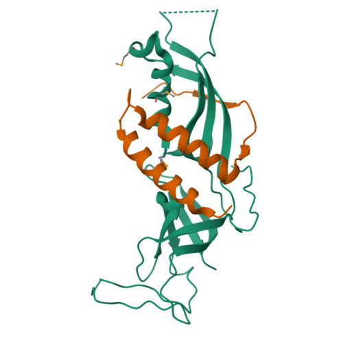 Rcsb Pdb Rf Crystal Structure Of The Rna Polymerase I Subcomplex A