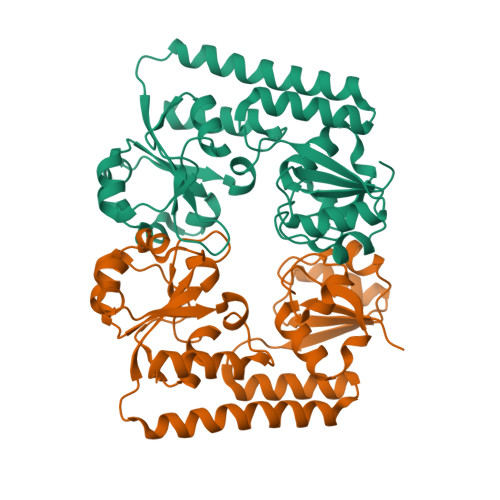 RCSB PDB - 2RG7: Apo- Crystal Structure of a Periplasmic Heme Binding ...