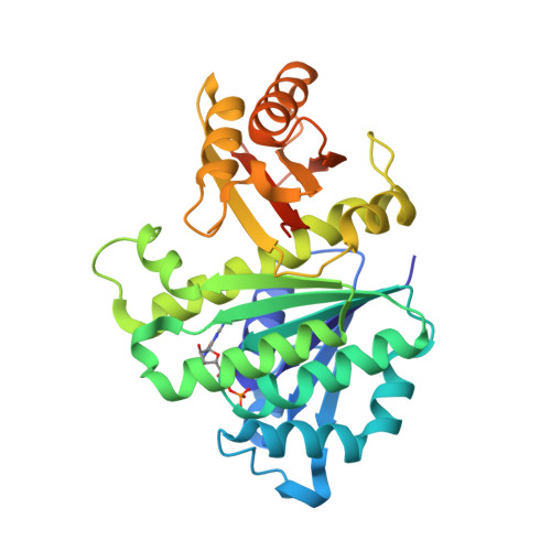 RCSB PDB - 2RHL: Synthetic Gene Encoded Bacillus Subtilis FtsZ NCS ...