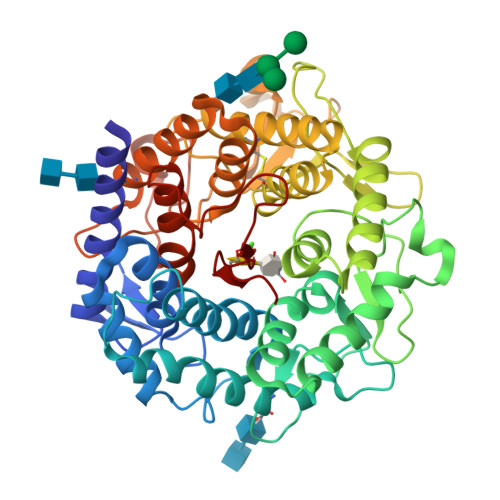 RCSB PDB - 2RI9: Penicillium citrinum alpha-1,2-mannosidase in