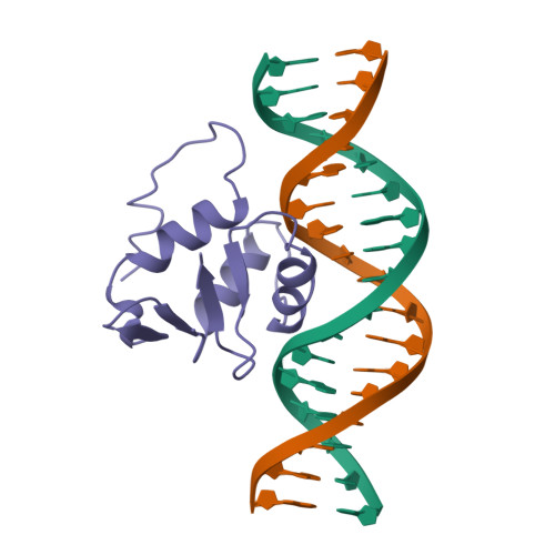 Rcsb Pdb Stw Solution Nmr Structure Of The Human Ets Dna Complex Restrained Regularized