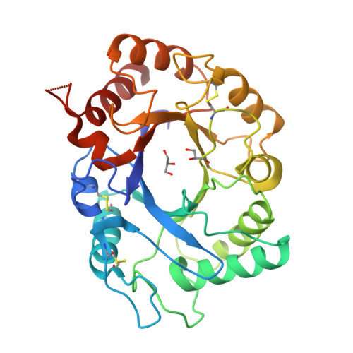 Endochitinase structure