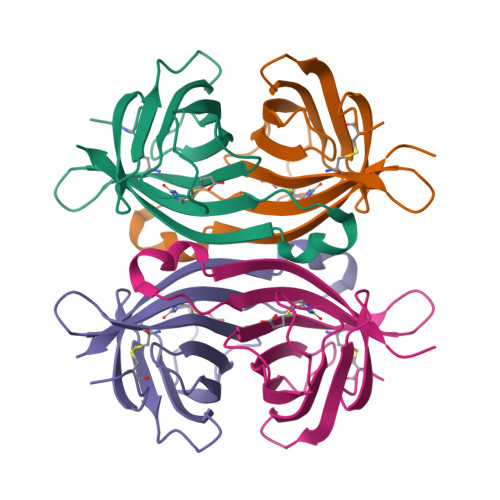 RCSB PDB - 2UYW: Crystal structure of Xenavidin