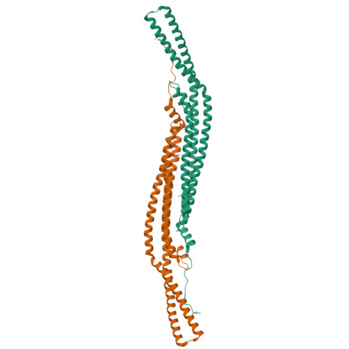 PDB 2V0O