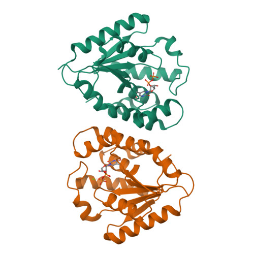 RCSB PDB - 2V54: Crystal structure of vaccinia virus thymidylate kinase ...