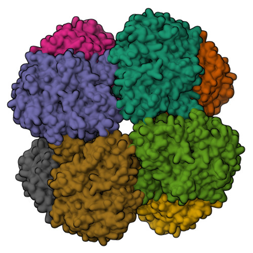 RCSB PDB - 2VAO: STRUCTURE OF THE OCTAMERIC FLAVOENZYME VANILLYL ...