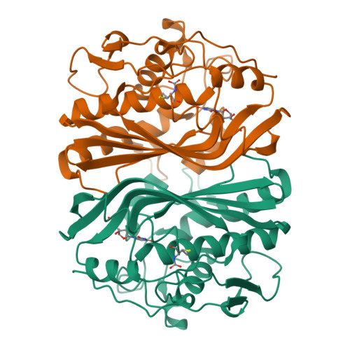 RCSB PDB - 2VET: CRYSTAL STRUCTURE OF THE THYMIDYLATE SYNTHASE K48Q ...