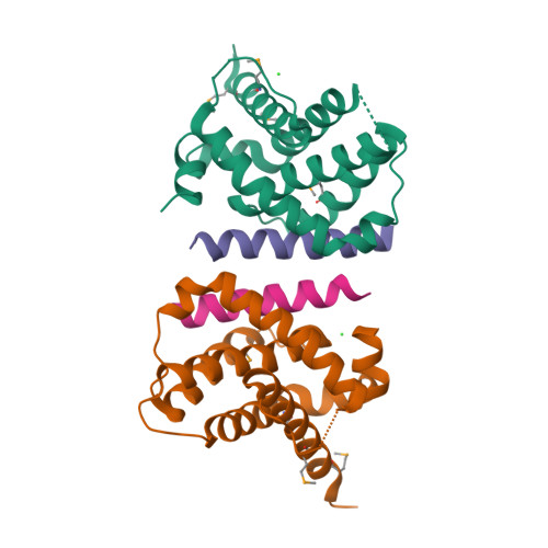 Bcl-2-related protein A1 structure