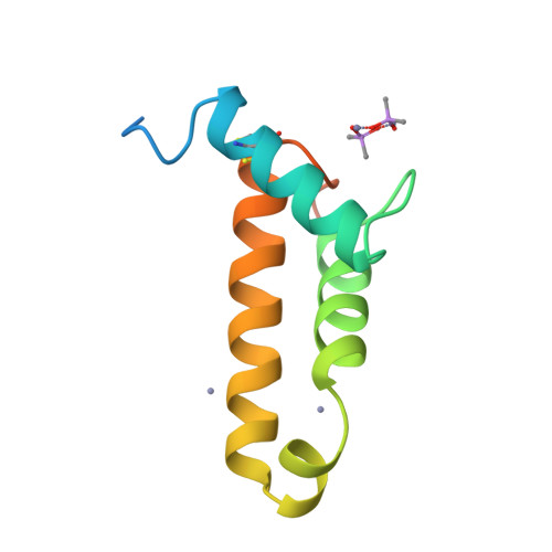 RCSB PDB - 2VQH: Crystal structure of PorB from Corynebacterium ...