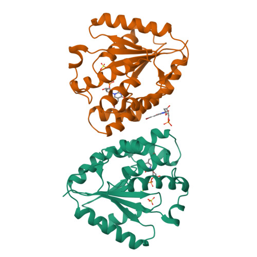 RCSB PDB - 2W0S: Crystal structure of vaccinia virus thymidylate kinase ...