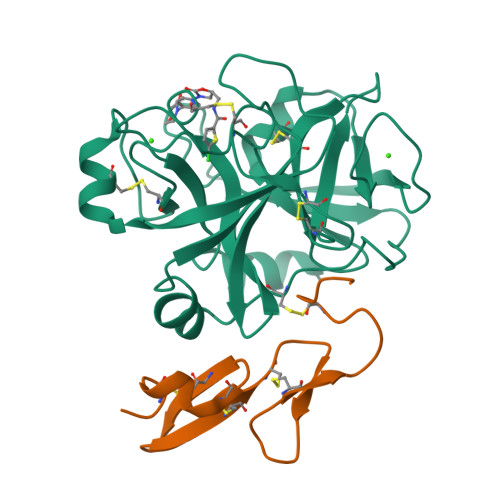 RCSB PDB - 2W26: Factor Xa in complex with BAY59-7939