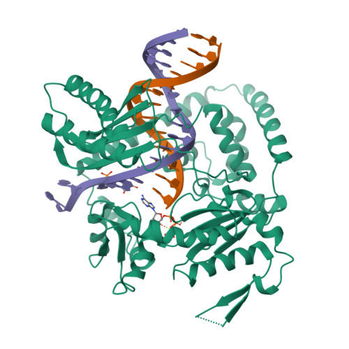 RCSB PDB - 2W7P: Structure and Activity of Bypass Synthesis by Human ...