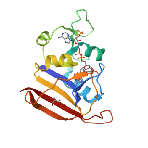 RCSB PDB - 2W9S: Staphylococcus aureus S1:DHFR in complex with trimethoprim