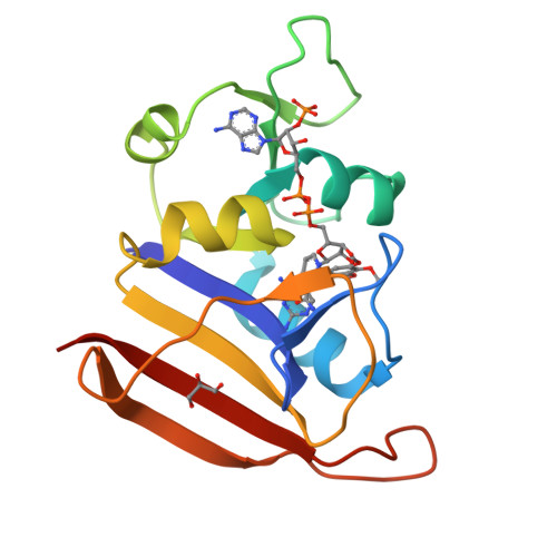 RCSB PDB - 2W9S: Staphylococcus aureus S1:DHFR in complex with trimethoprim