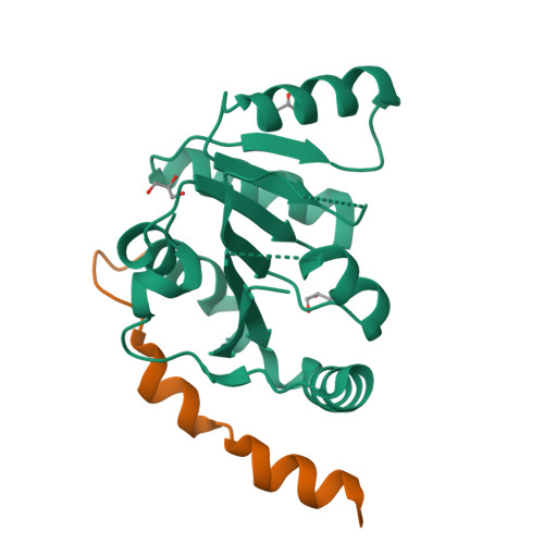 RCSB PDB - 2WAY: Structure of the human DDX6 C-terminal domain in ...