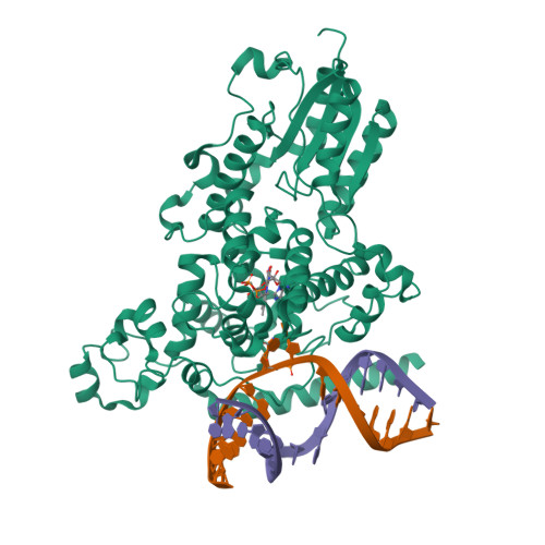 RCSB PDB - 2WB2: Drosophila Melanogaster (6-4) Photolyase Bound To ...