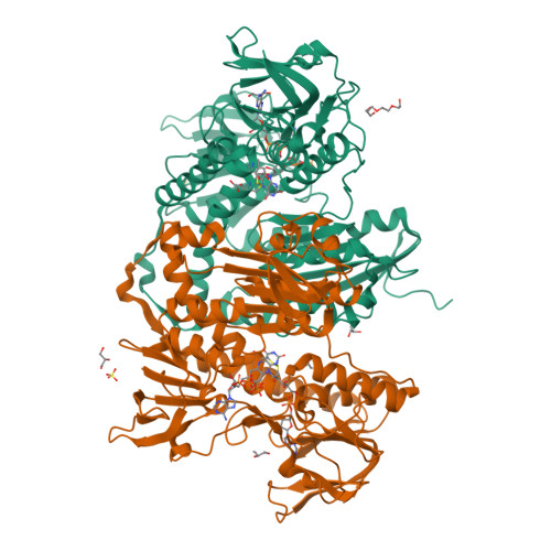 RCSB PDB - 2WBA: Properties Of Trypanothione Reductase From T. Brucei