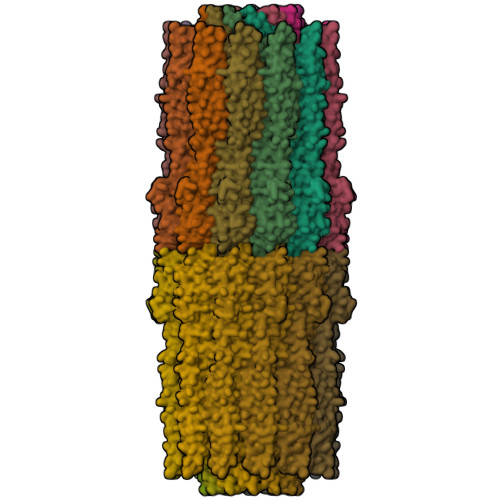 RCSB PDB - 2WCD: Crystal structure of the assembled cytolysin A pore