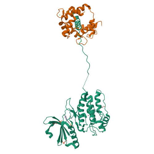 RCSB PDB - 2WEL: Crystal structure of SU6656-bound calcium