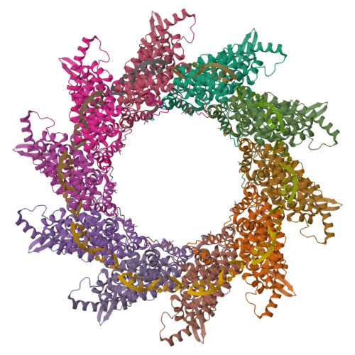 Nucleoprotein structure
