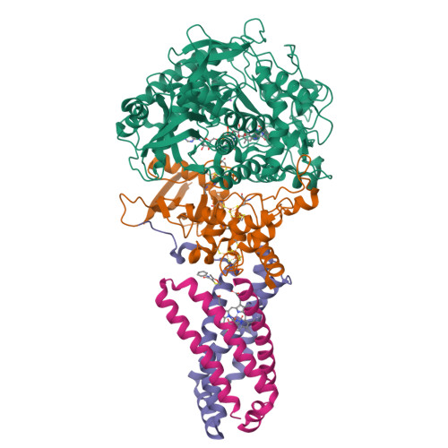 RCSB PDB - 2WP9: Crystal Structure Of The E. Coli Succinate:quinone ...