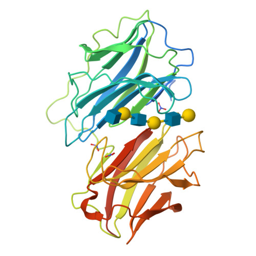 RCSB PDB 2WT2 Galectin domain of porcine adenovirus type 4 NADC1