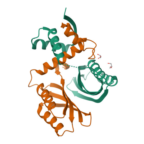 Rcsb Pdb Wvb Structural And Mechanistic Insights Into Helicobacter Pylori Nikr Function