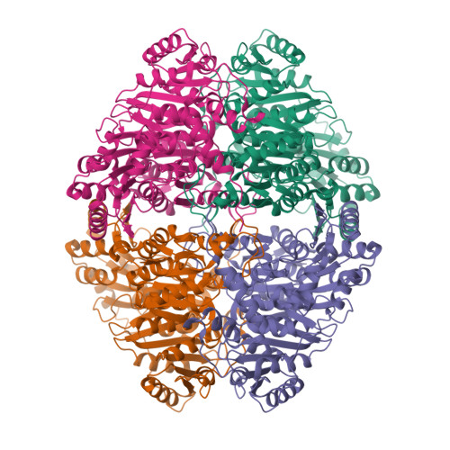 Rcsb Pdb Wvh Structural Insights Into The Pre Reaction State Of Pyruvate Decarboxylase From